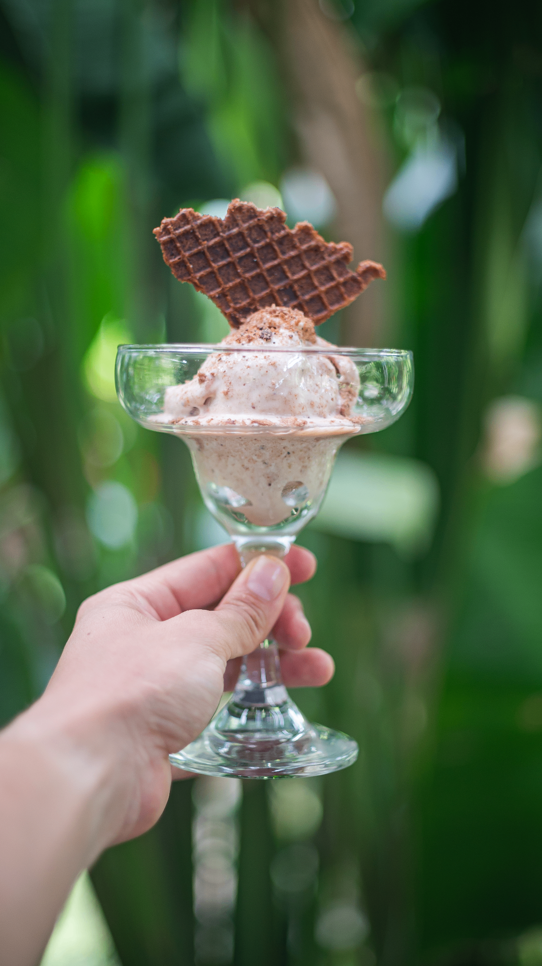Bola de helado artesanal en copa de vidrio con galleta wafer de cacao
